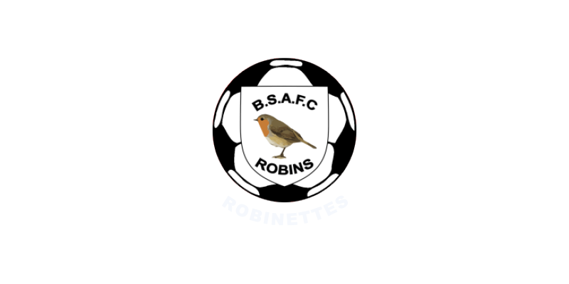 Budleigh Salterton FC Robinettes VX3 budleigh-salterton-fc-robinettes-vx3