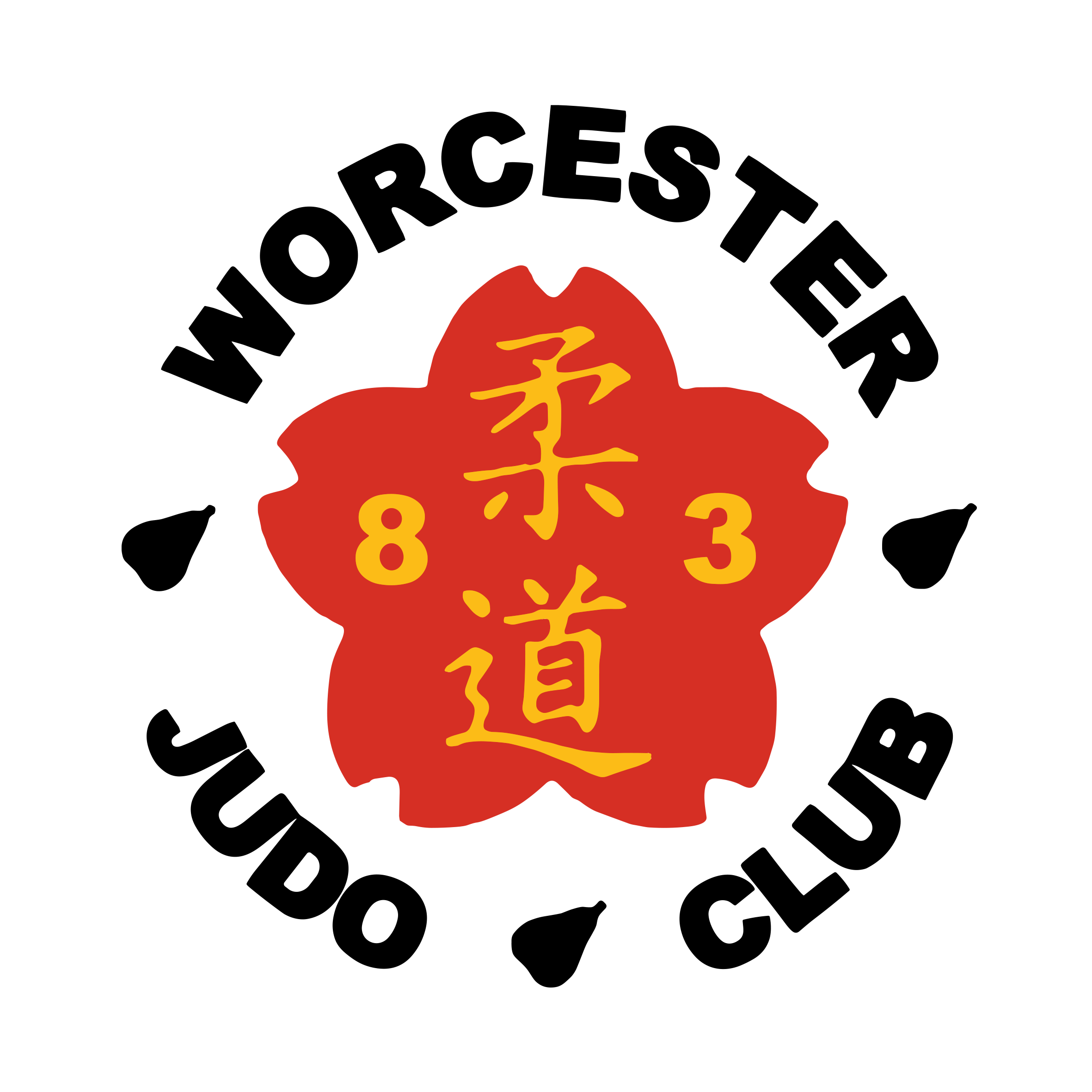 Worcester Judo Club – VX3