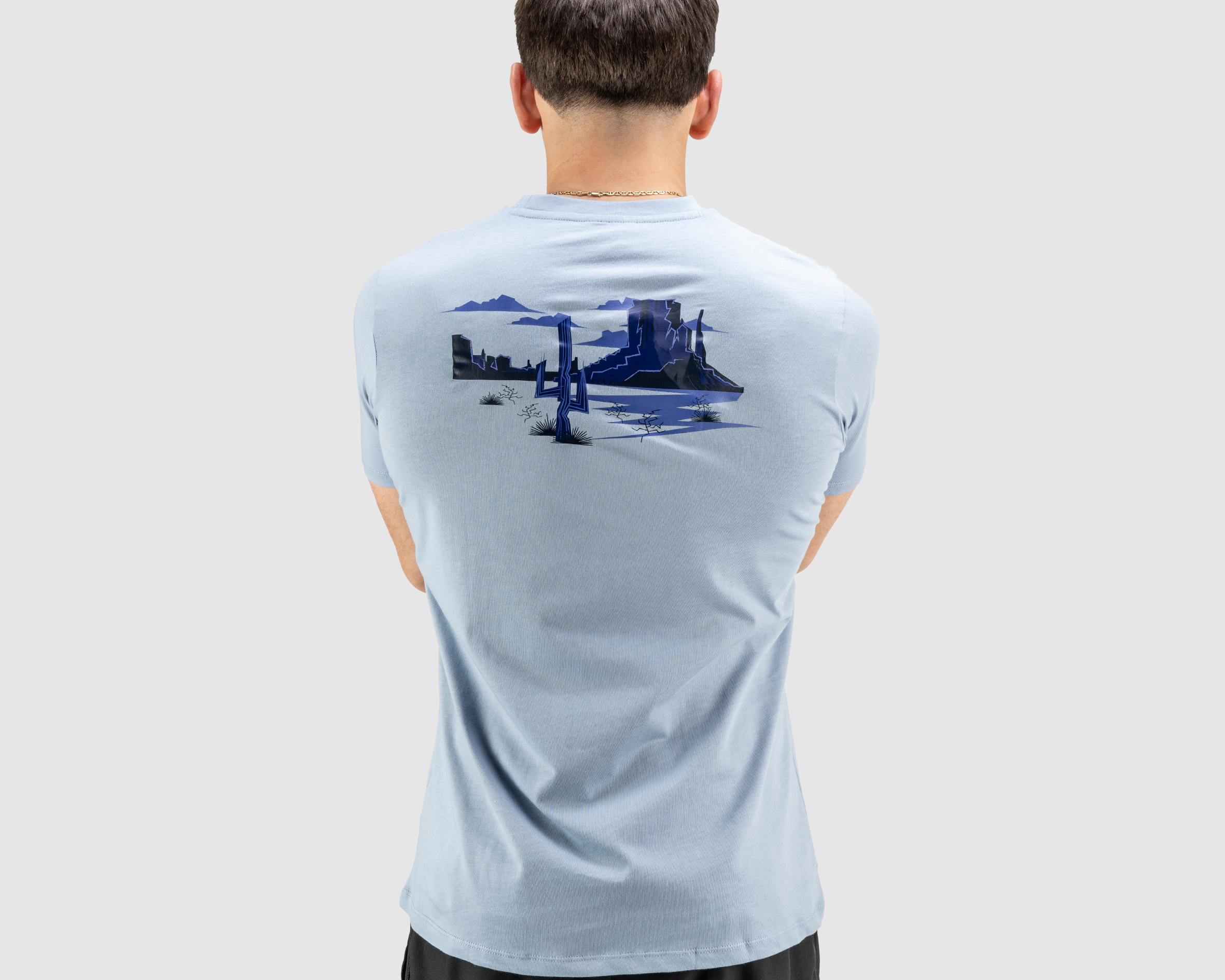 P45290-ARIZONA-DESERT-TEE-JUNIPER-BLUE-ALT1.png