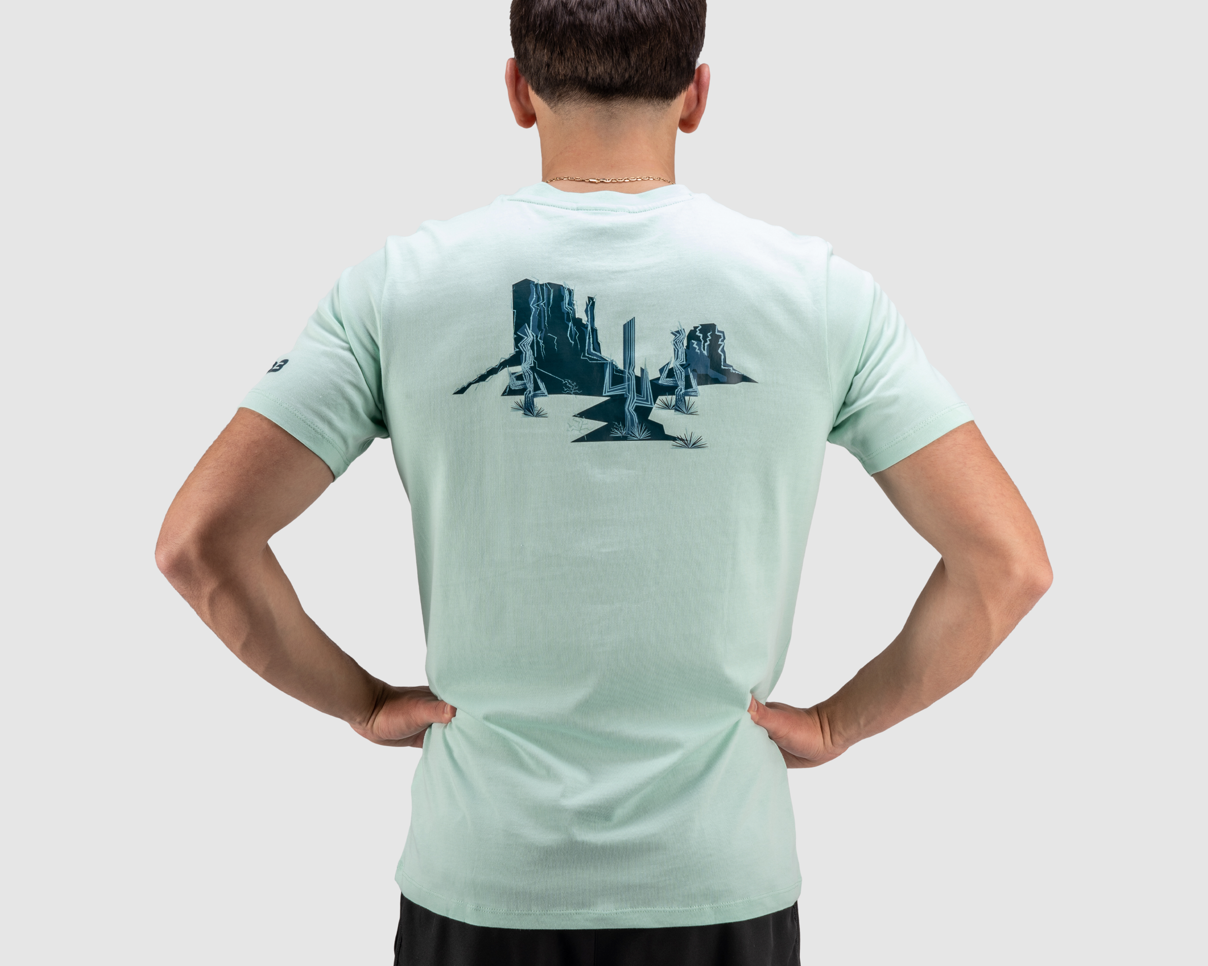 P45293-ARIZONA-DESERT-TEE-ALOE-GREEN-ALT1.png