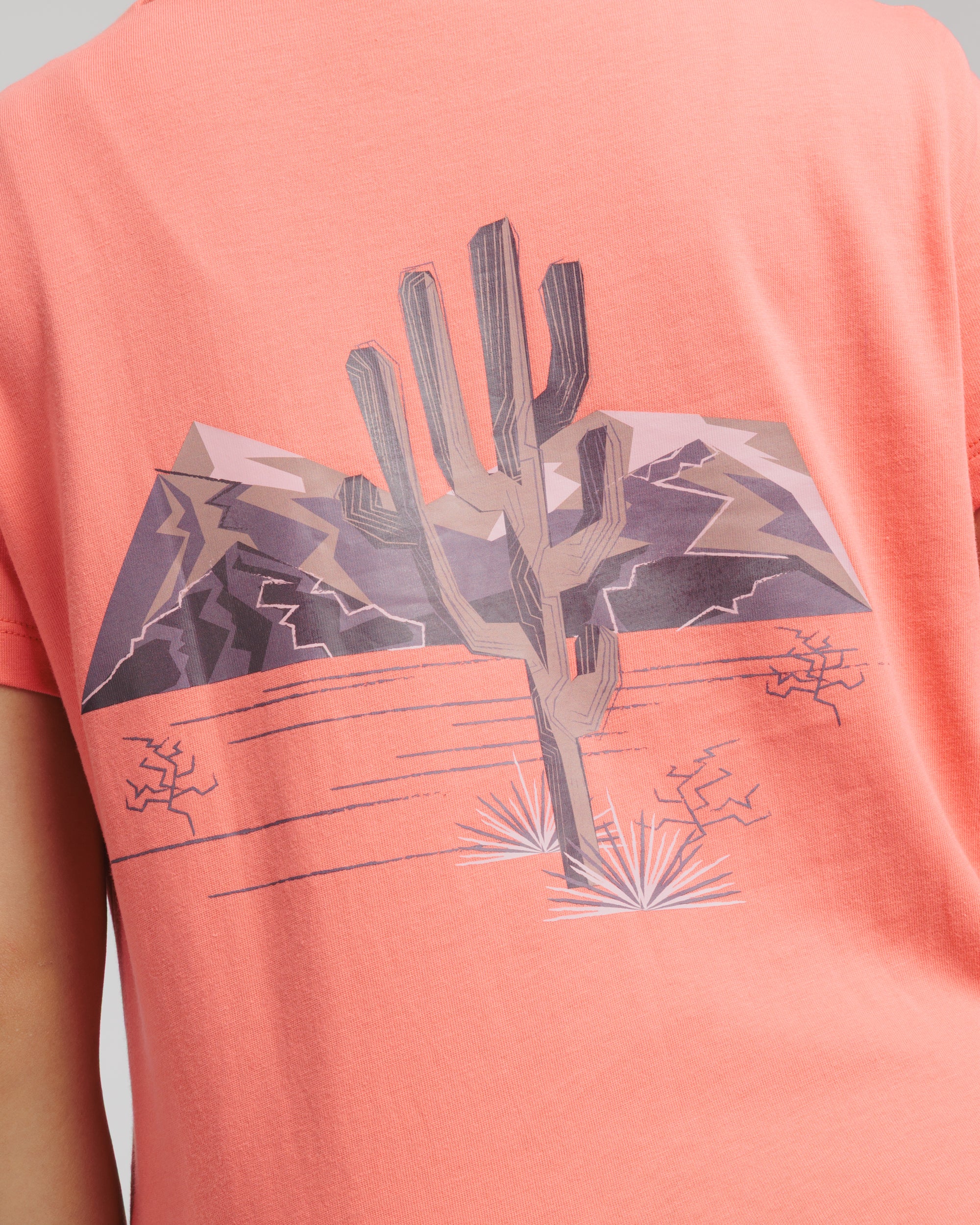 Arizona Desert Womens Tee- Sonoran
