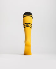 Newport County AFC 25/26 Socks Home