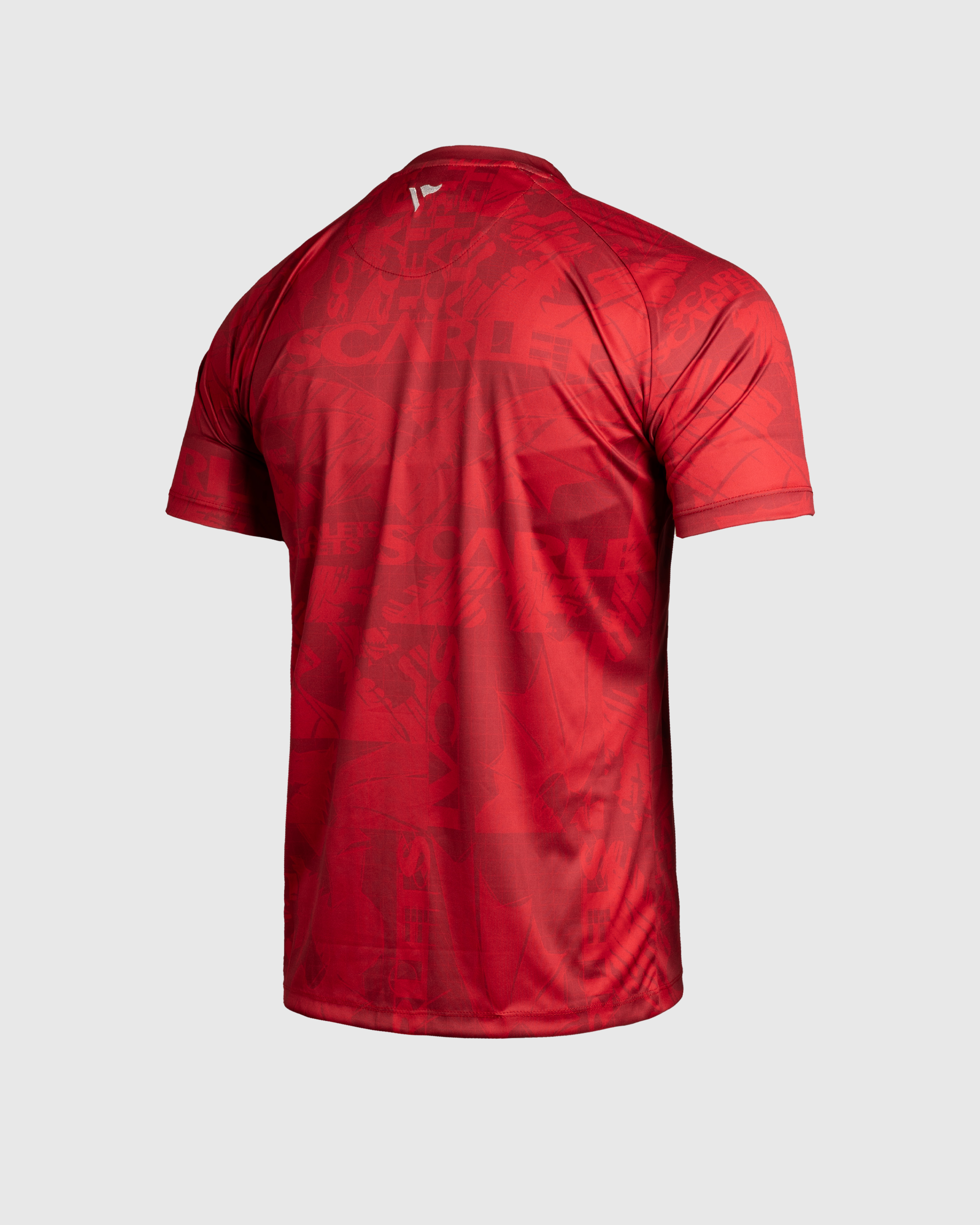 Scarlets 25/26 Warm Up Tee Red