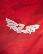 Scarlets 25/26 Warm Up Tee Red