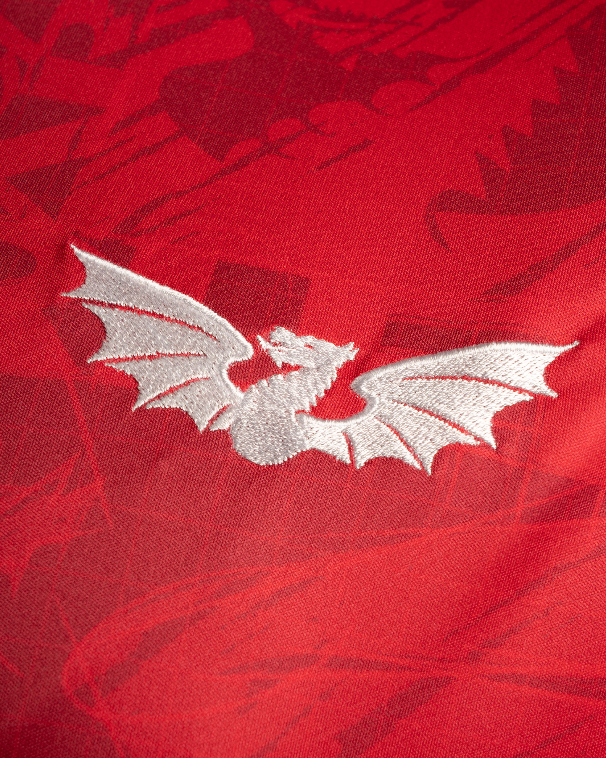 Scarlets 25/26 Warm Up Tee Red