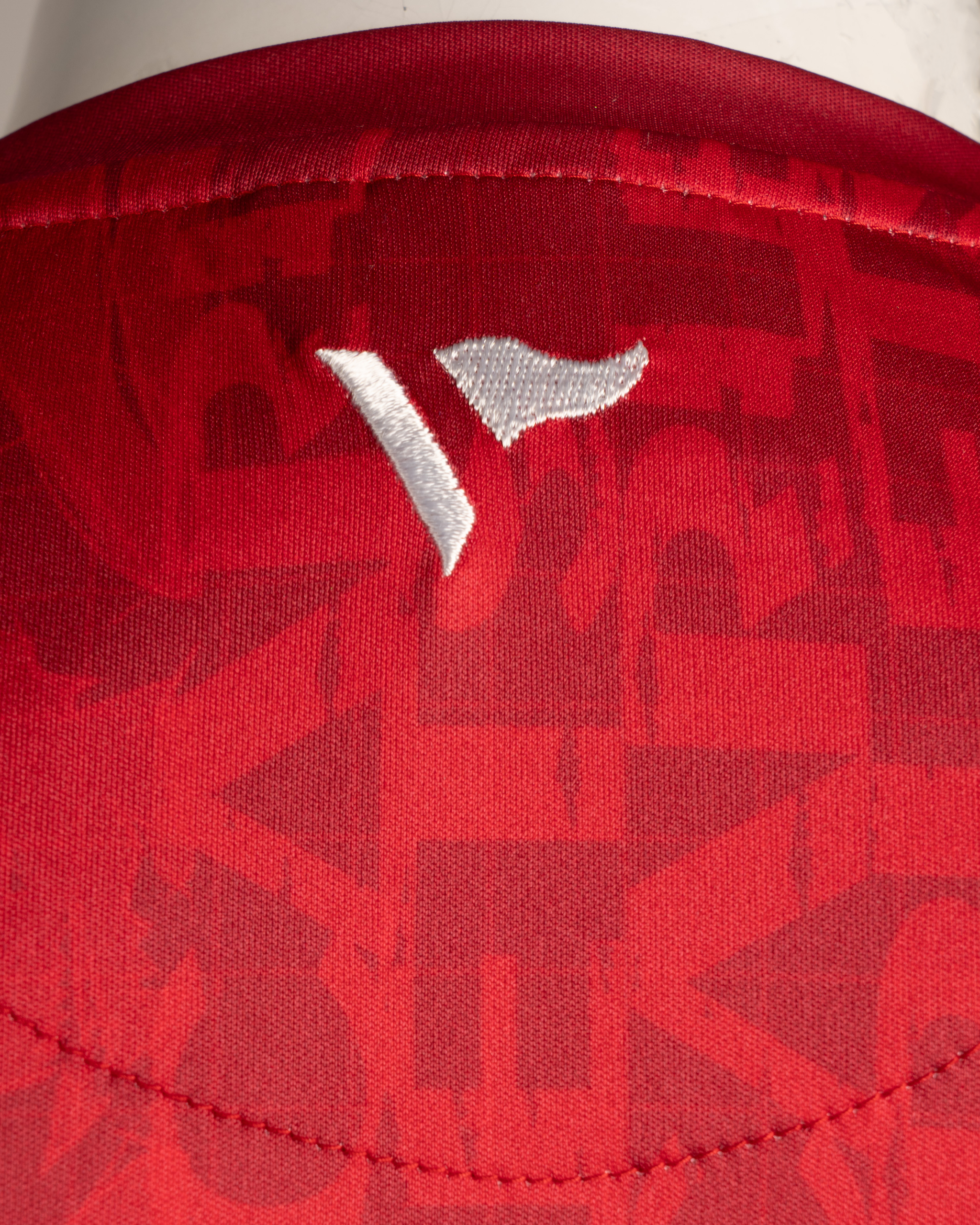 Scarlets 25/26 Warm Up Tee Red