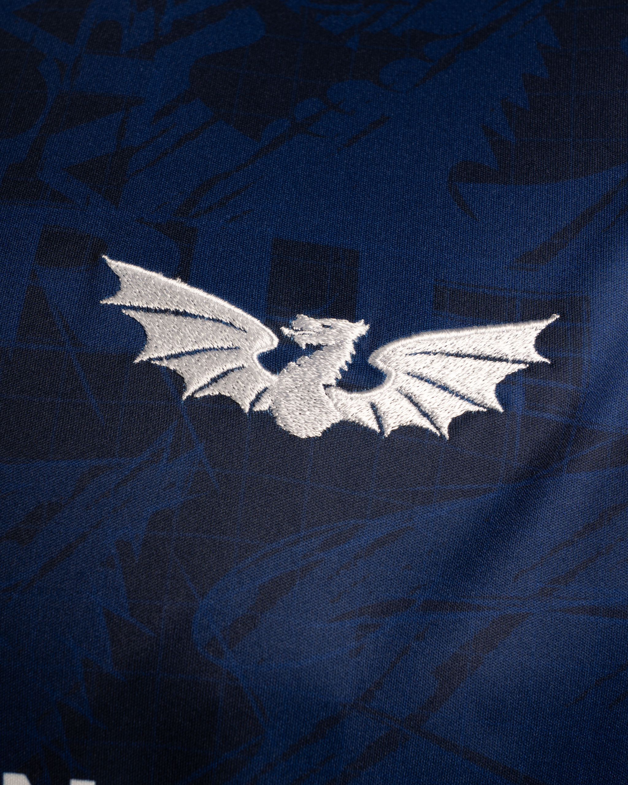 Scarlets 25/26 Warm Up Tee Blue