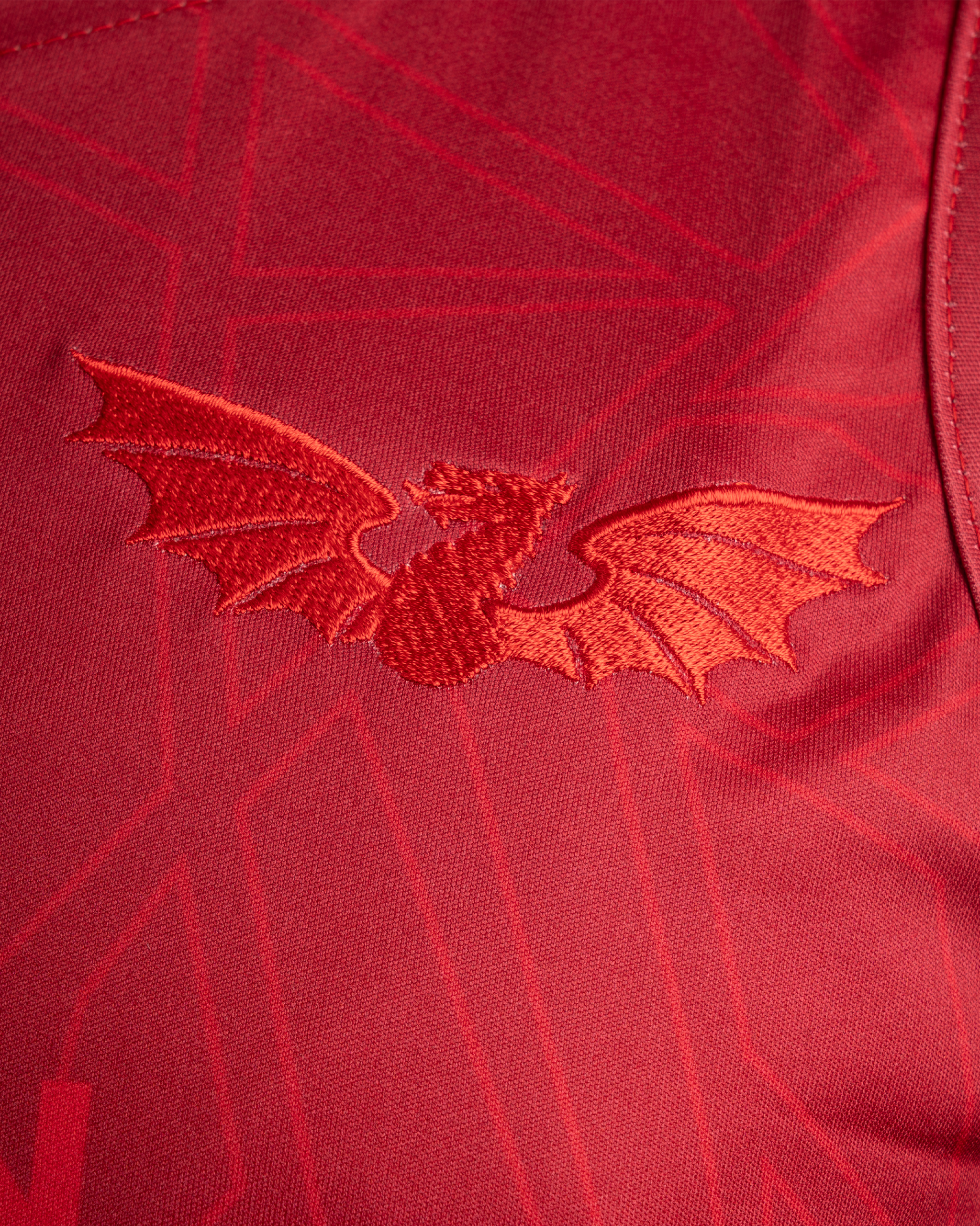 Scarlets 25/26 Vertex Training Vest Deep Red/Navy/Bright Red