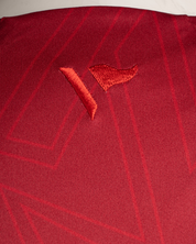 Scarlets 25/26 Vertex Training Vest Deep Red/Navy/Bright Red