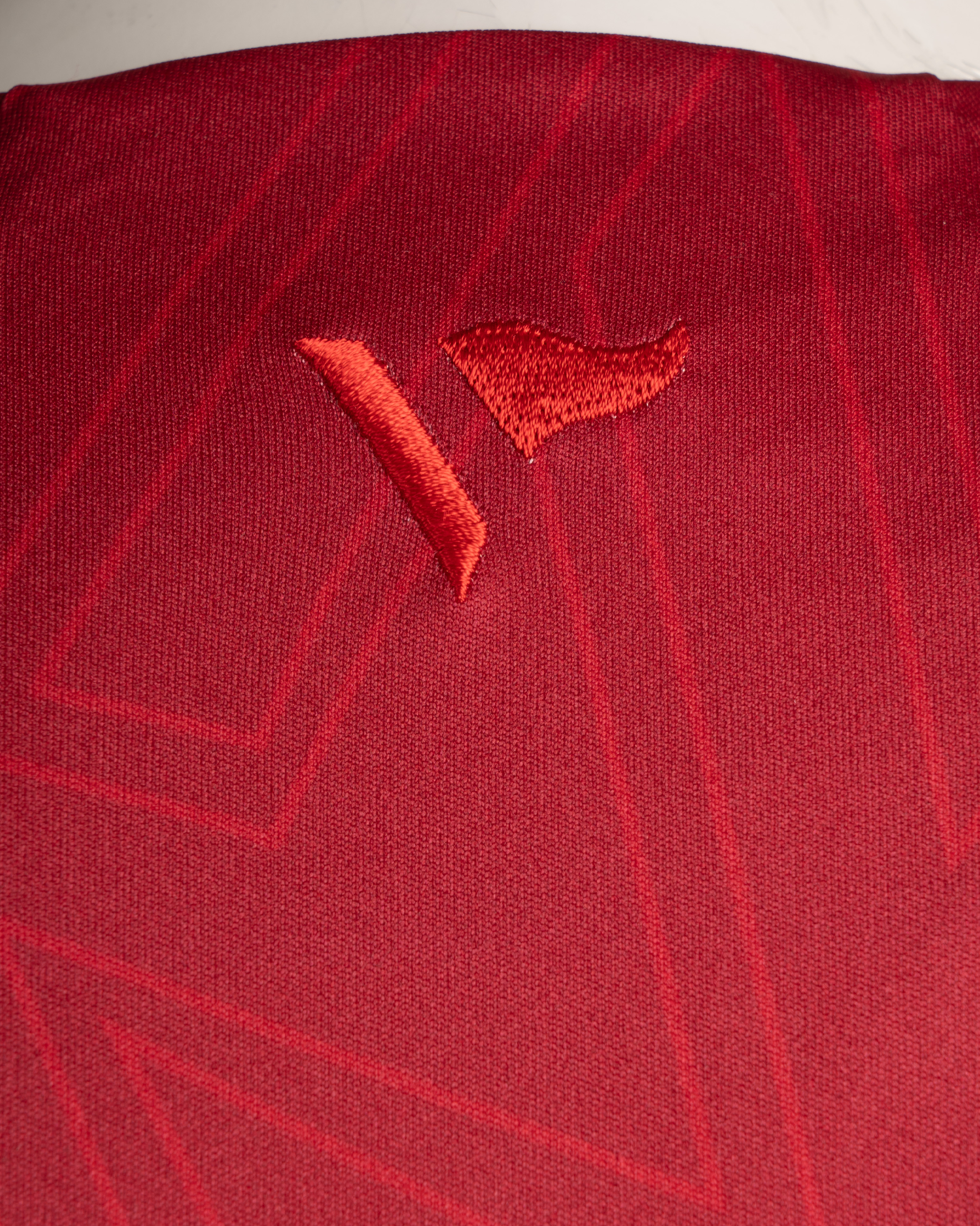 Scarlets 25/26 Vertex Training Vest Deep Red/Navy/Bright Red