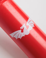Scarlets Sports Bottle - 750ml