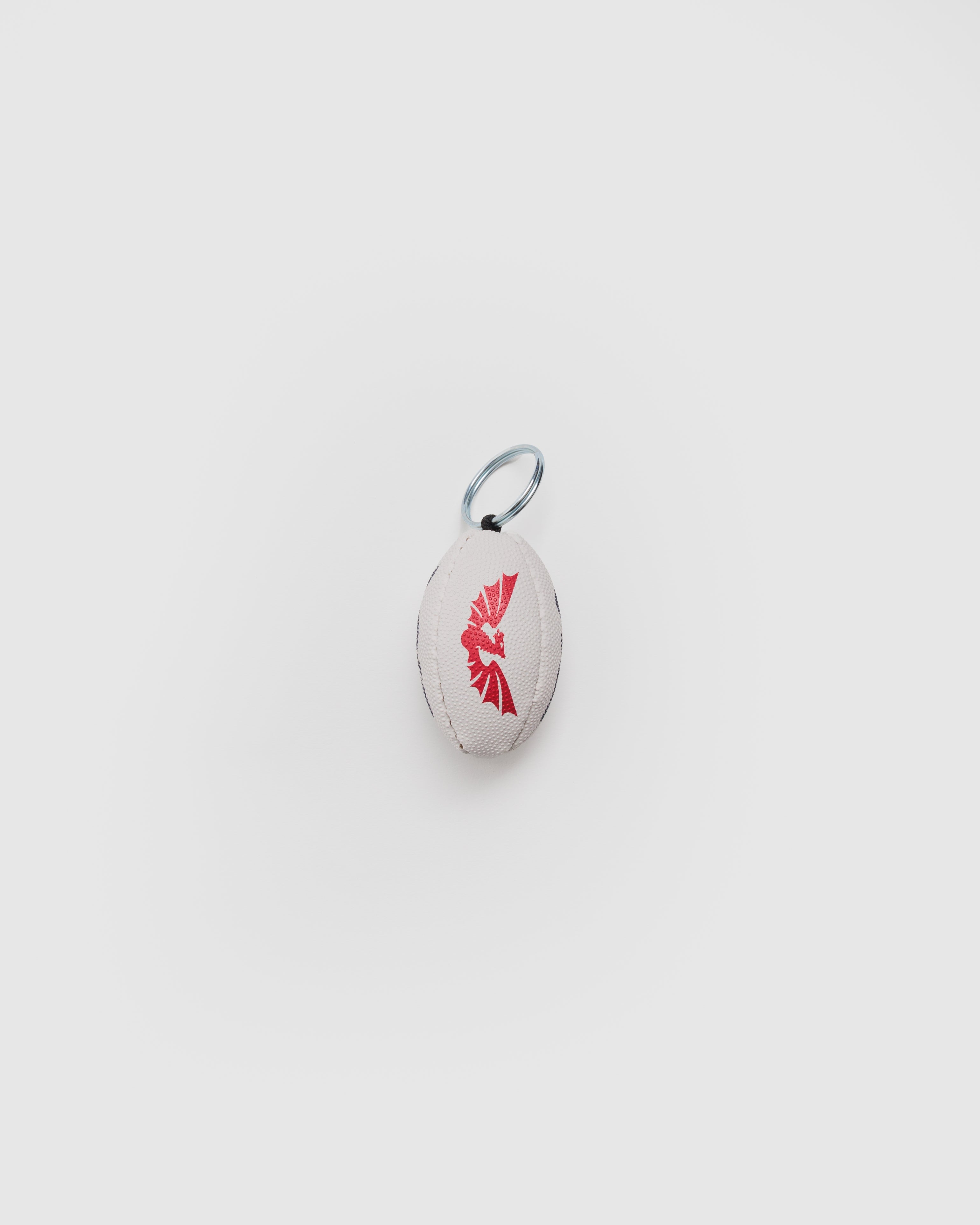 Scarlets 25/26 Ball Keyring