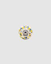 Torquay United Football