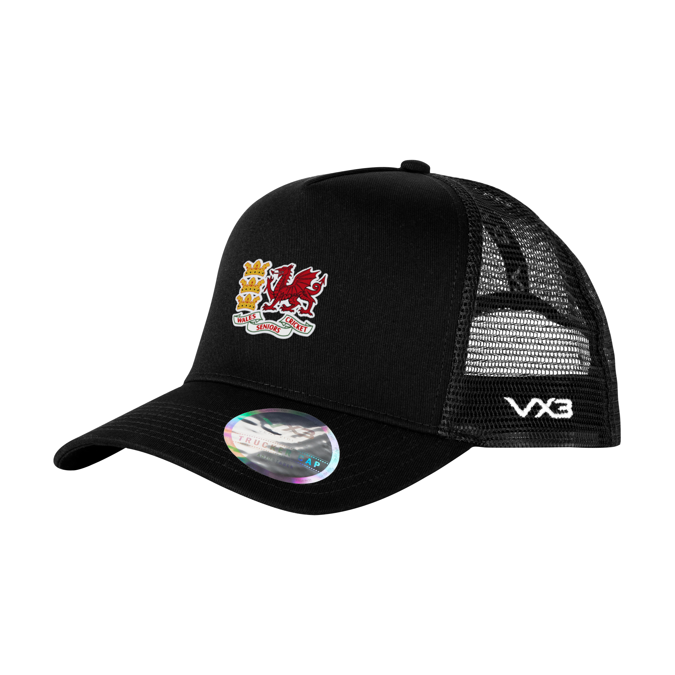 Wales Cricket Trucker Cap