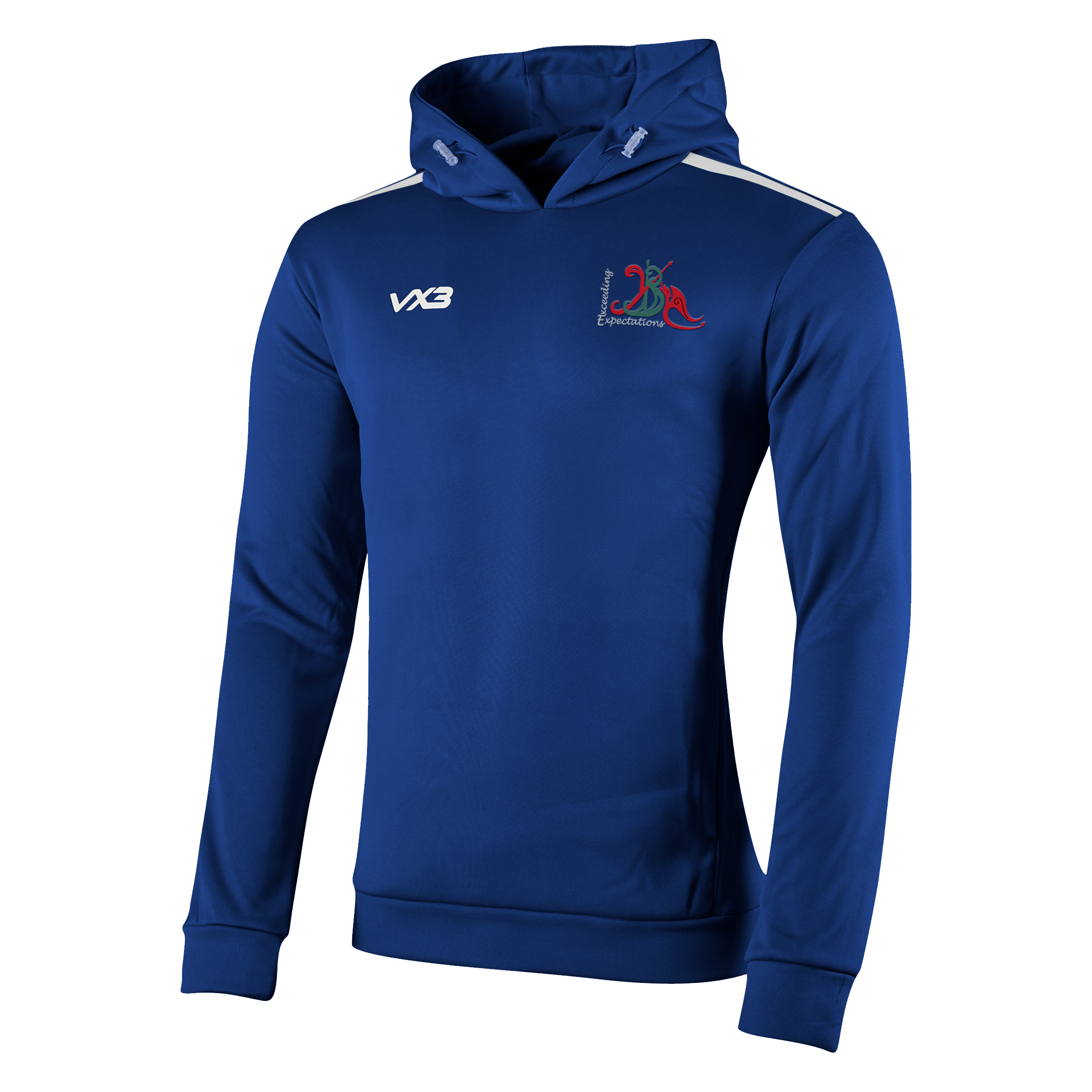 Brynllywarch Hall School Fortis Youth Hoodie