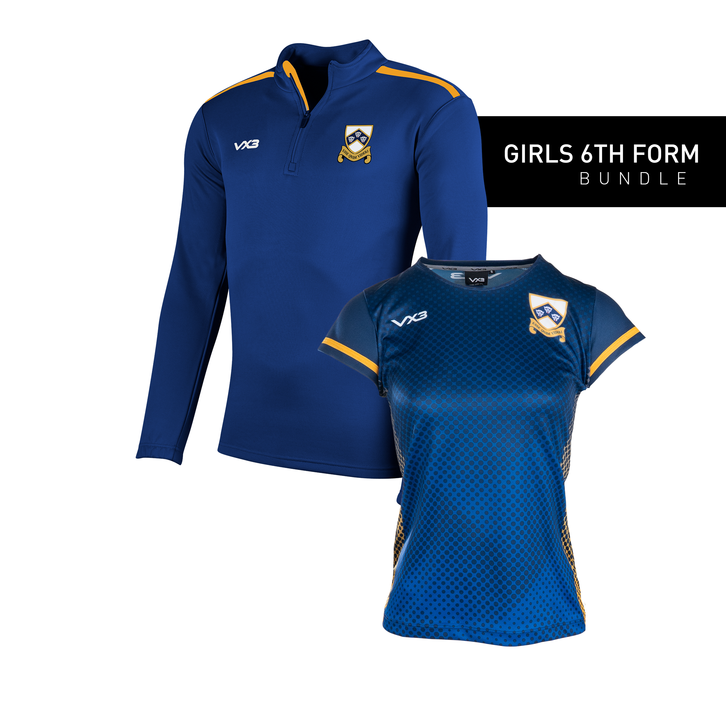 Colyton Grammar School Girls 6th Form Bundle