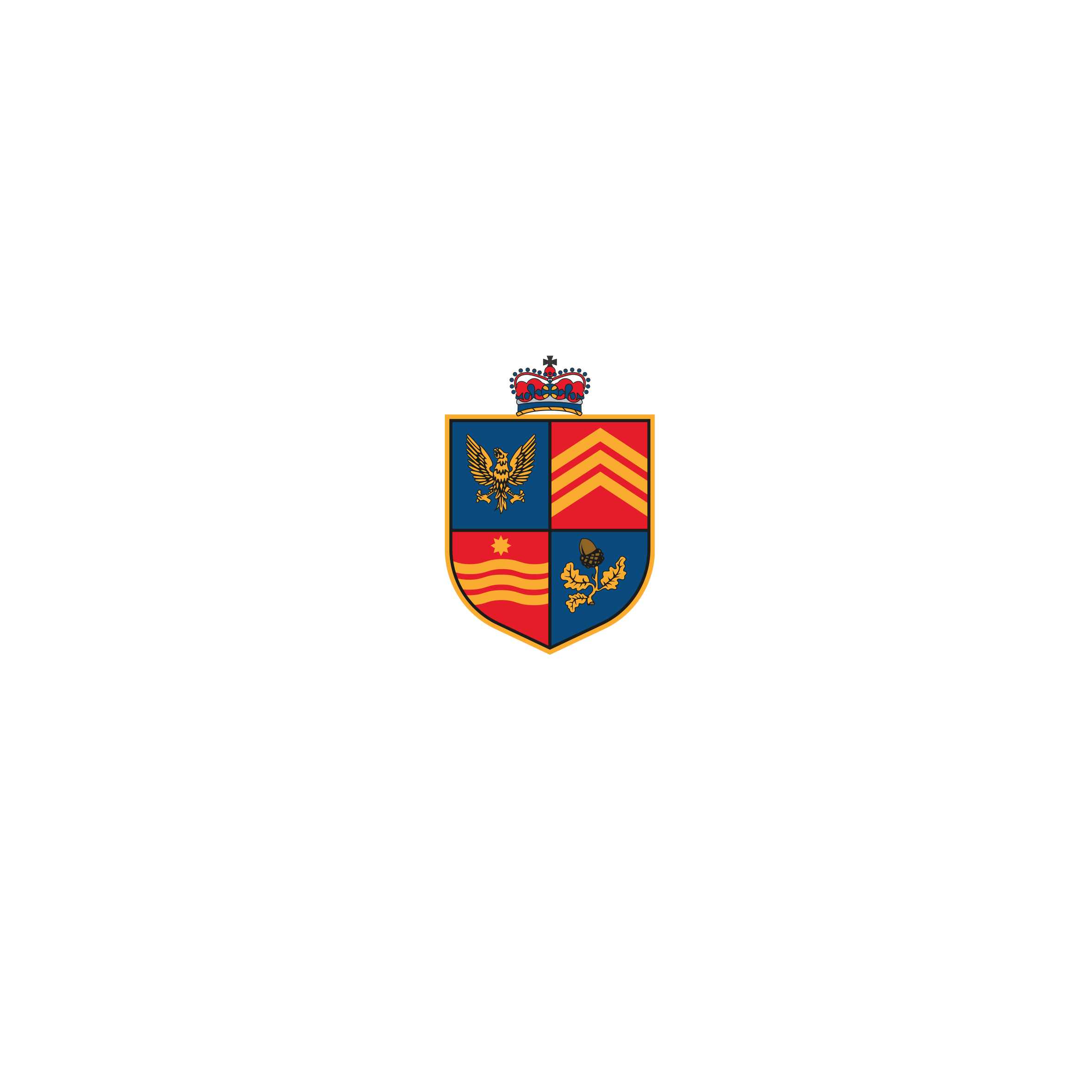 Aberdare RFC