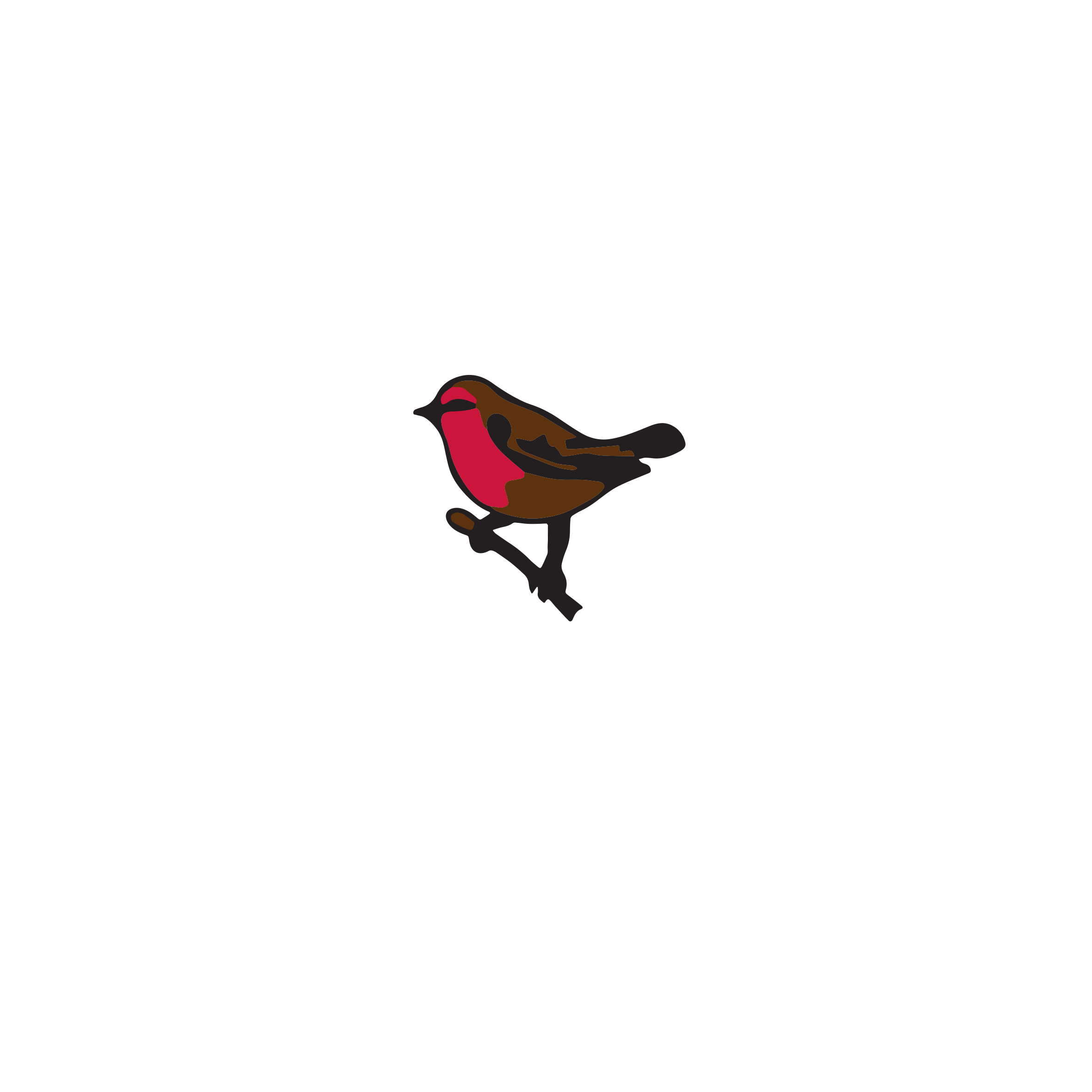Birchgrove RFC