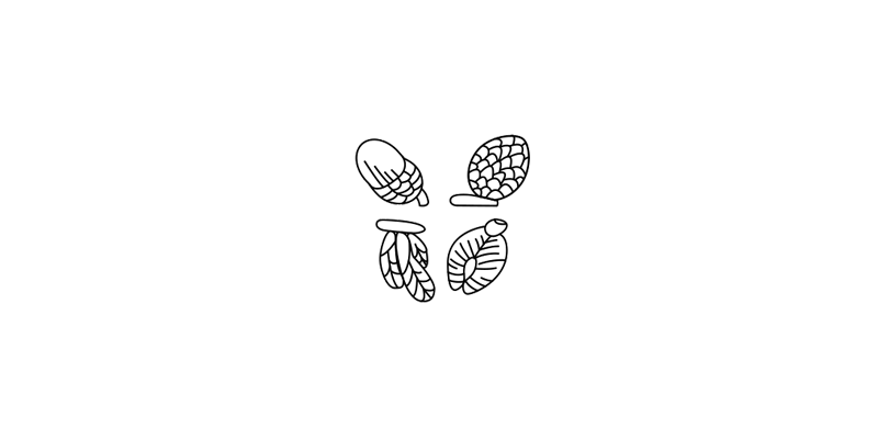 Blackpool C of E Primary School