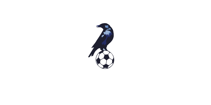 Borth United FC