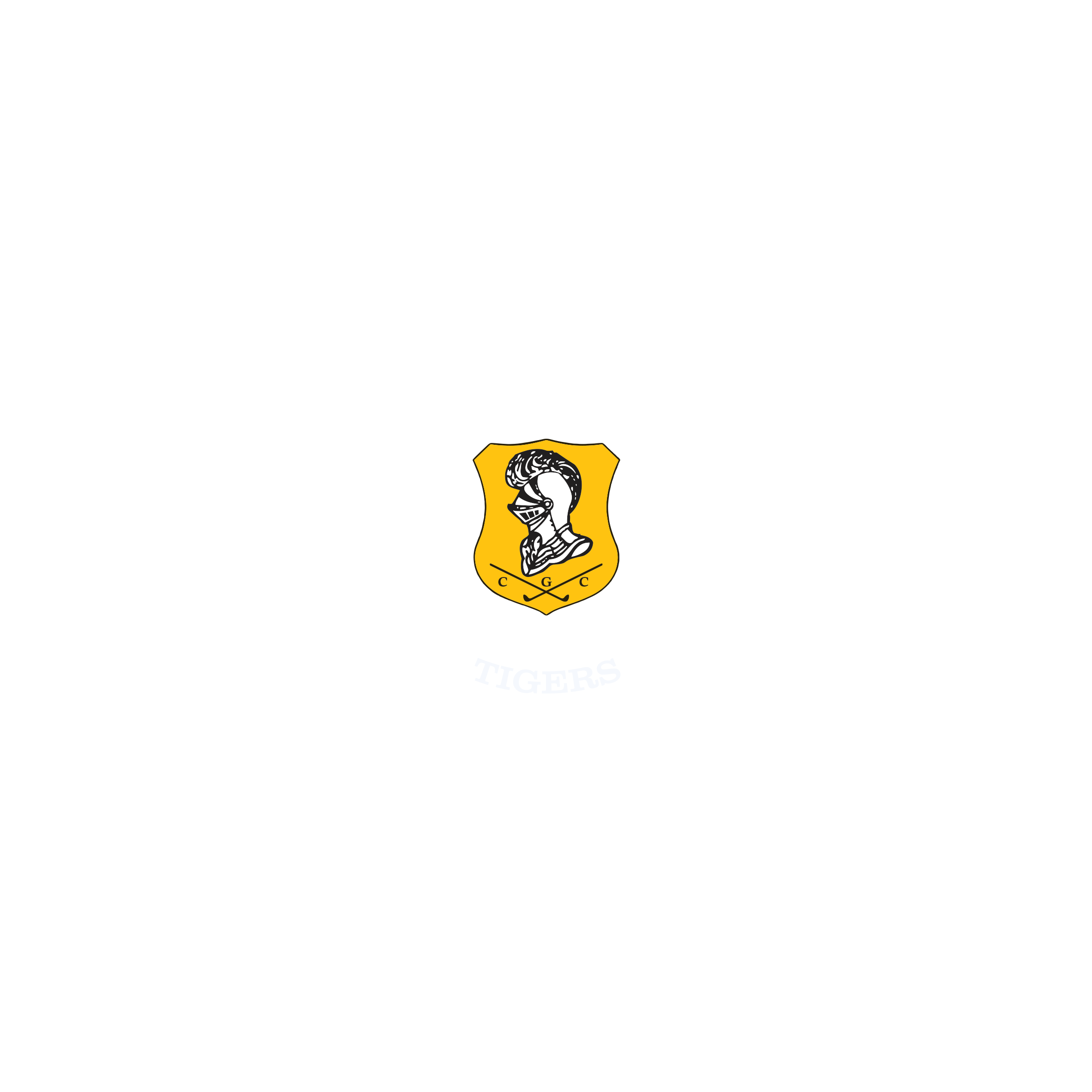 Carmarthen Golf