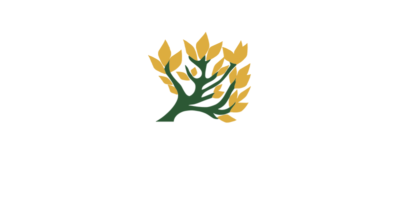 Dafen Wen CC