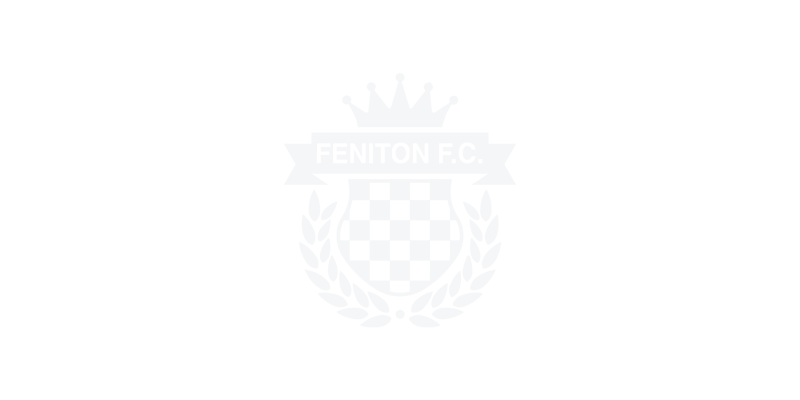 Feniton Womens FC