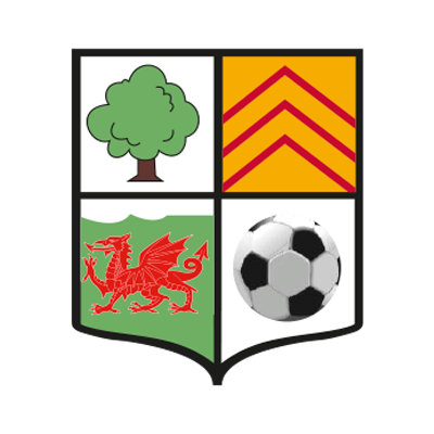 Llwydcoed FC