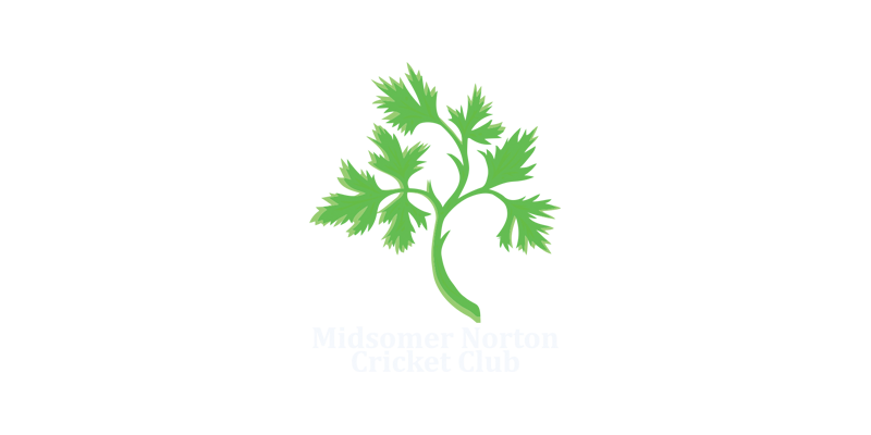 Midsomer Norton Cricket Club