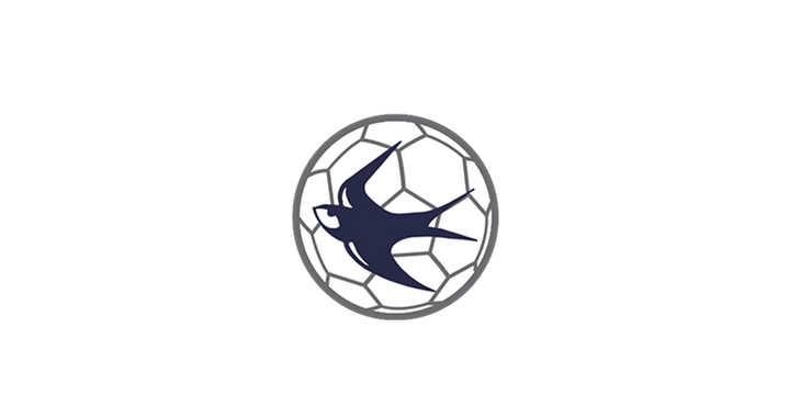 Narberth AFC logo