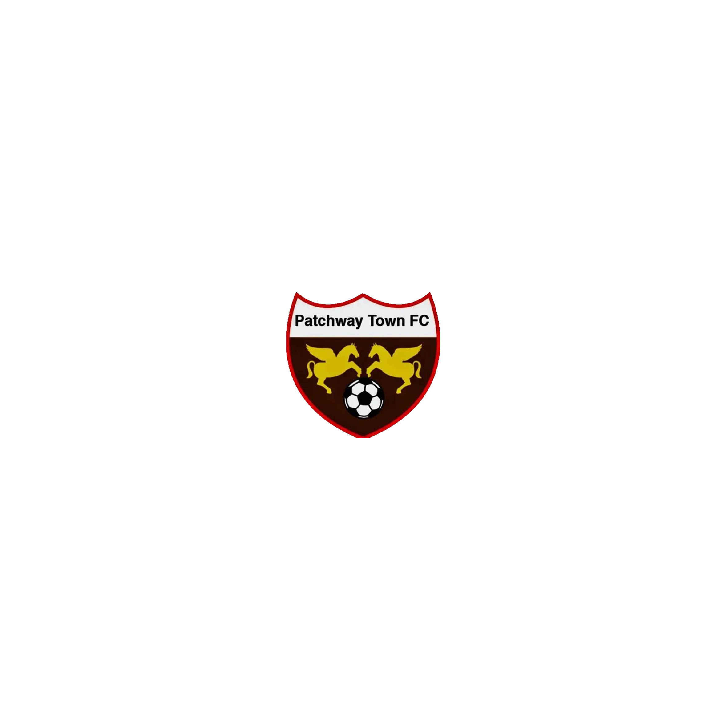 Patchway Town FC