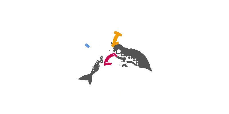 Torfaen Dolphins Triathlon Club