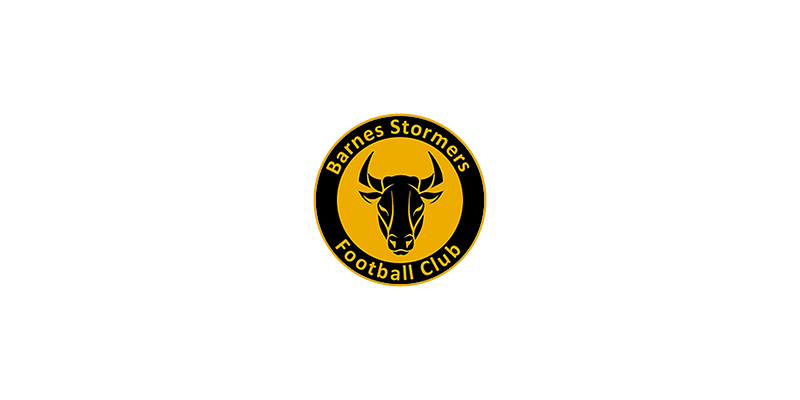 Barnes Stormers FC