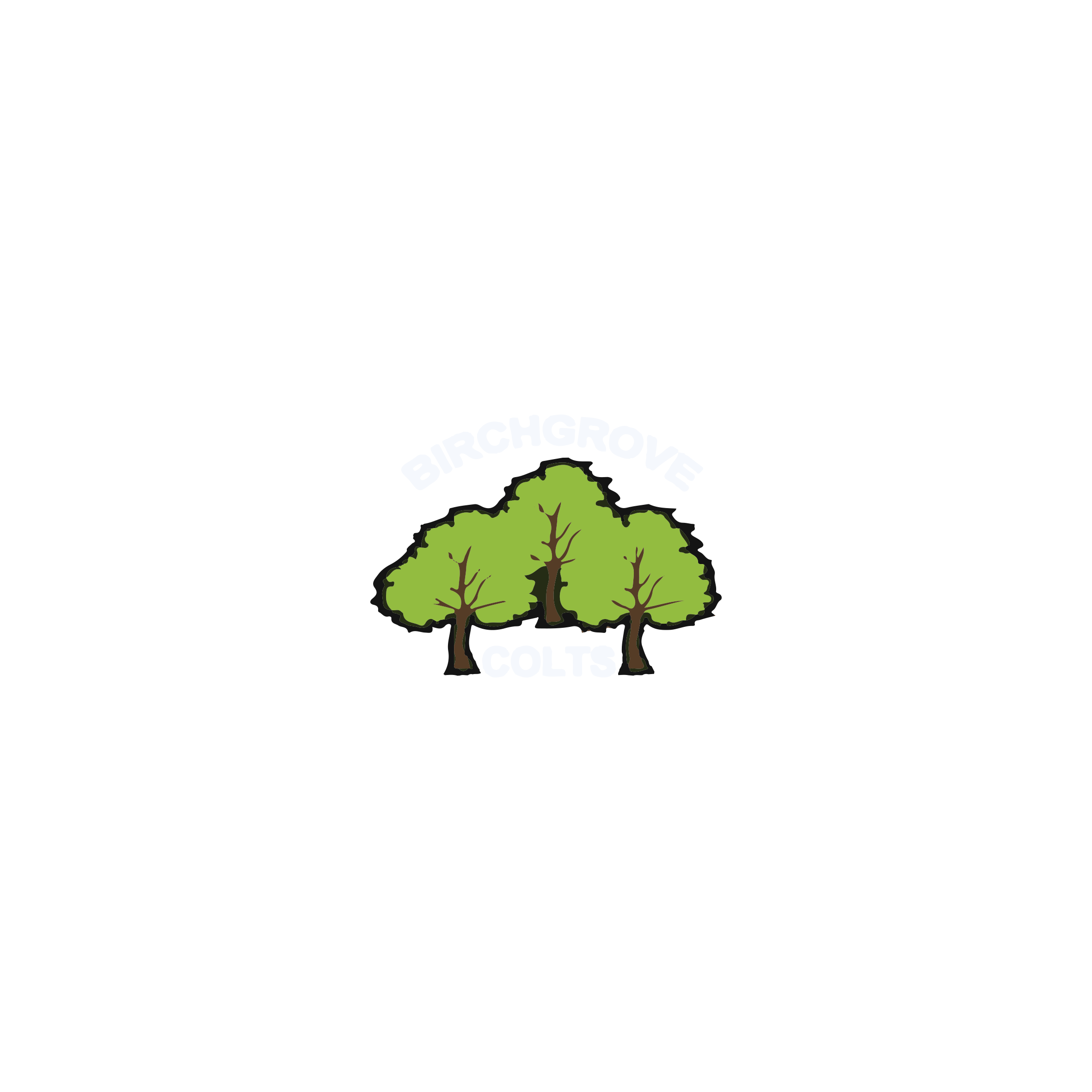 Birchgrove Colts FC