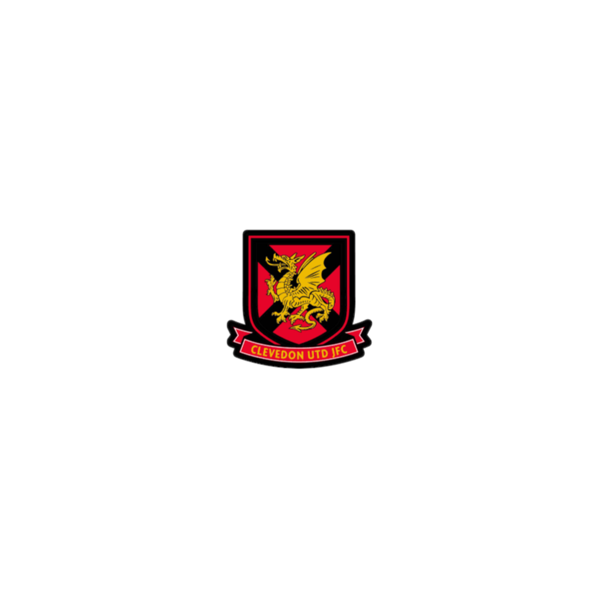 Clevedon United Juniors