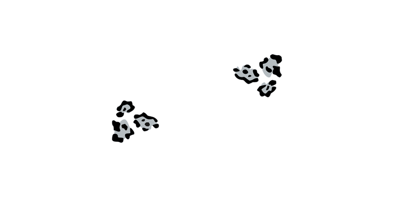 Leopards Netball Club