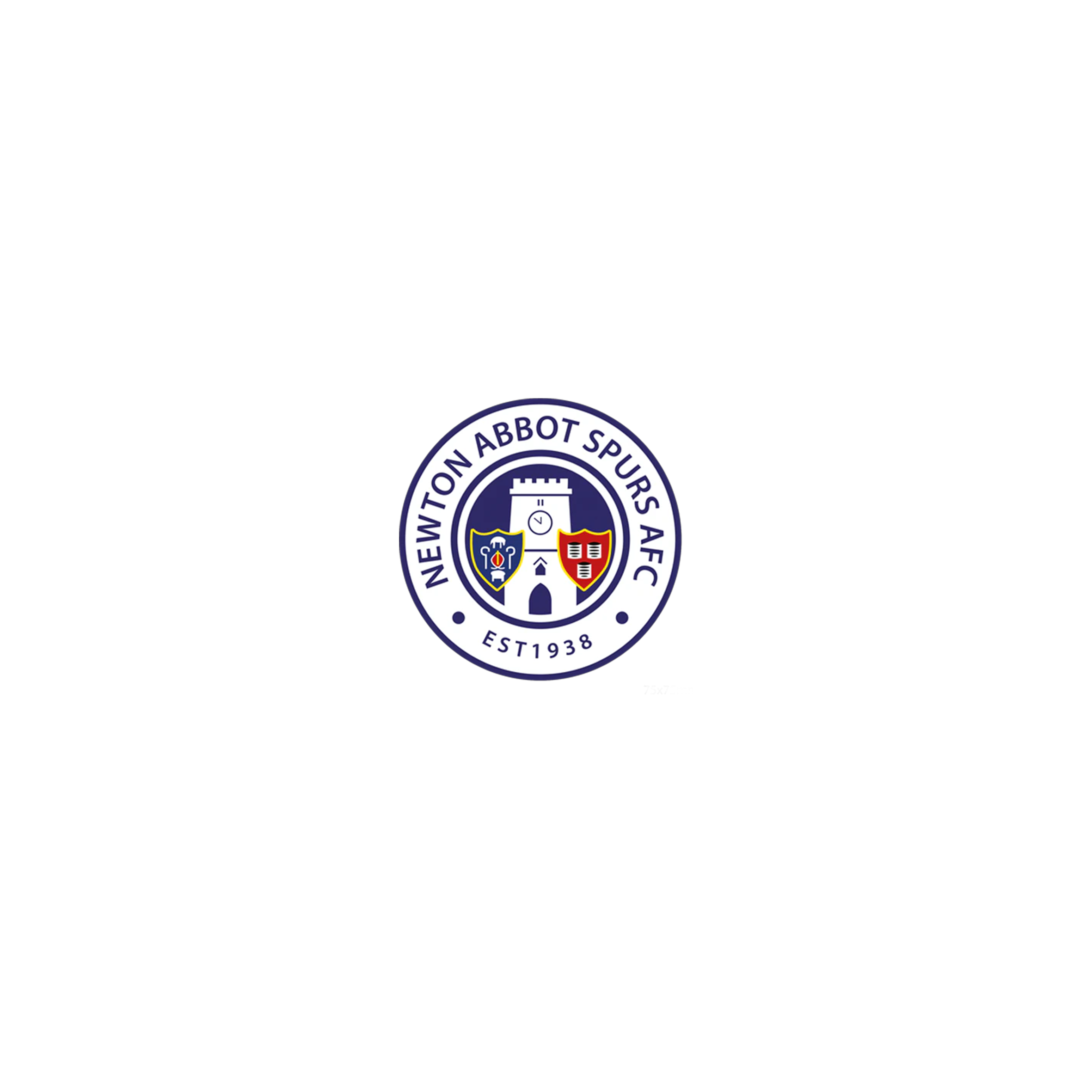 Newton Abbot Spurs AFC