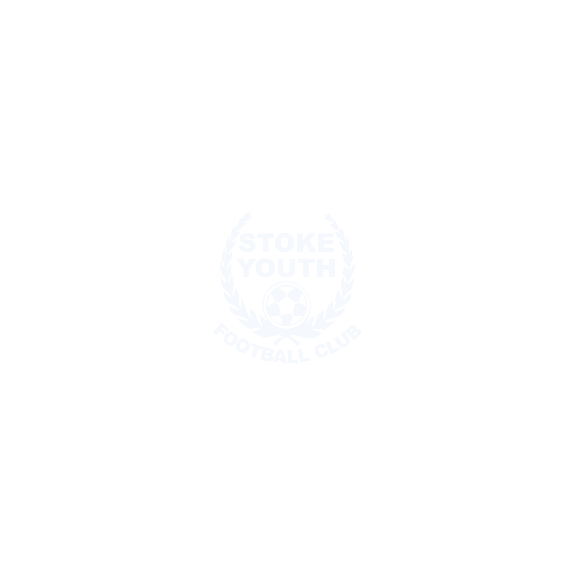 Stoke Youth FC