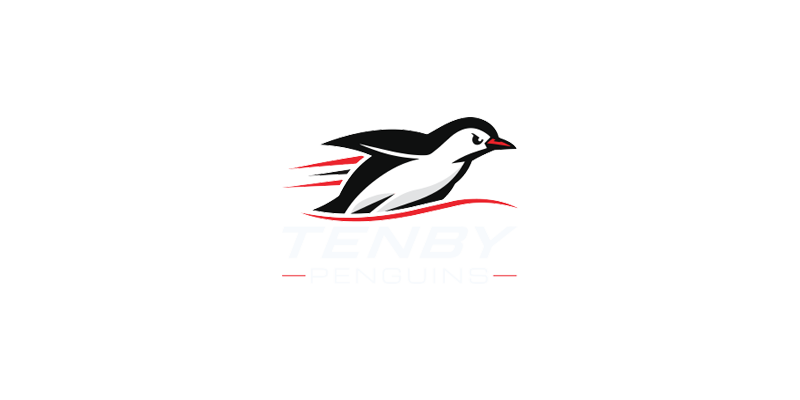 Tenby Penguins