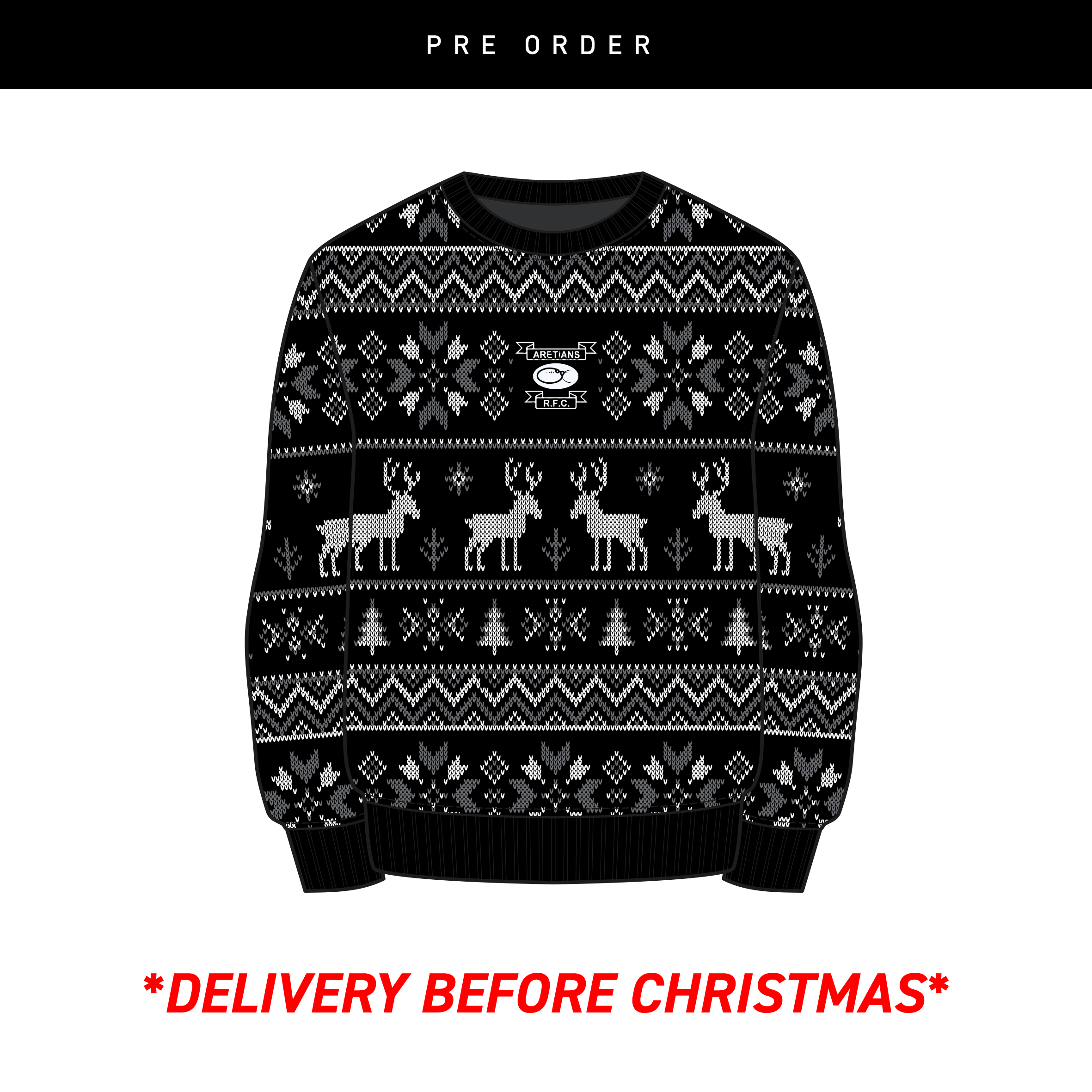 Aertiansxmasjumper.png