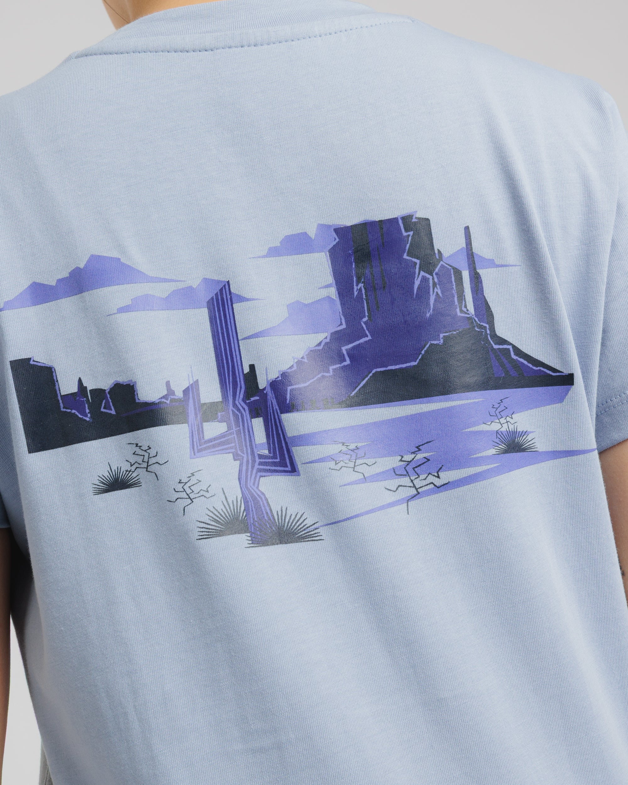 Arizona Desert Womens Tee- Juniper
