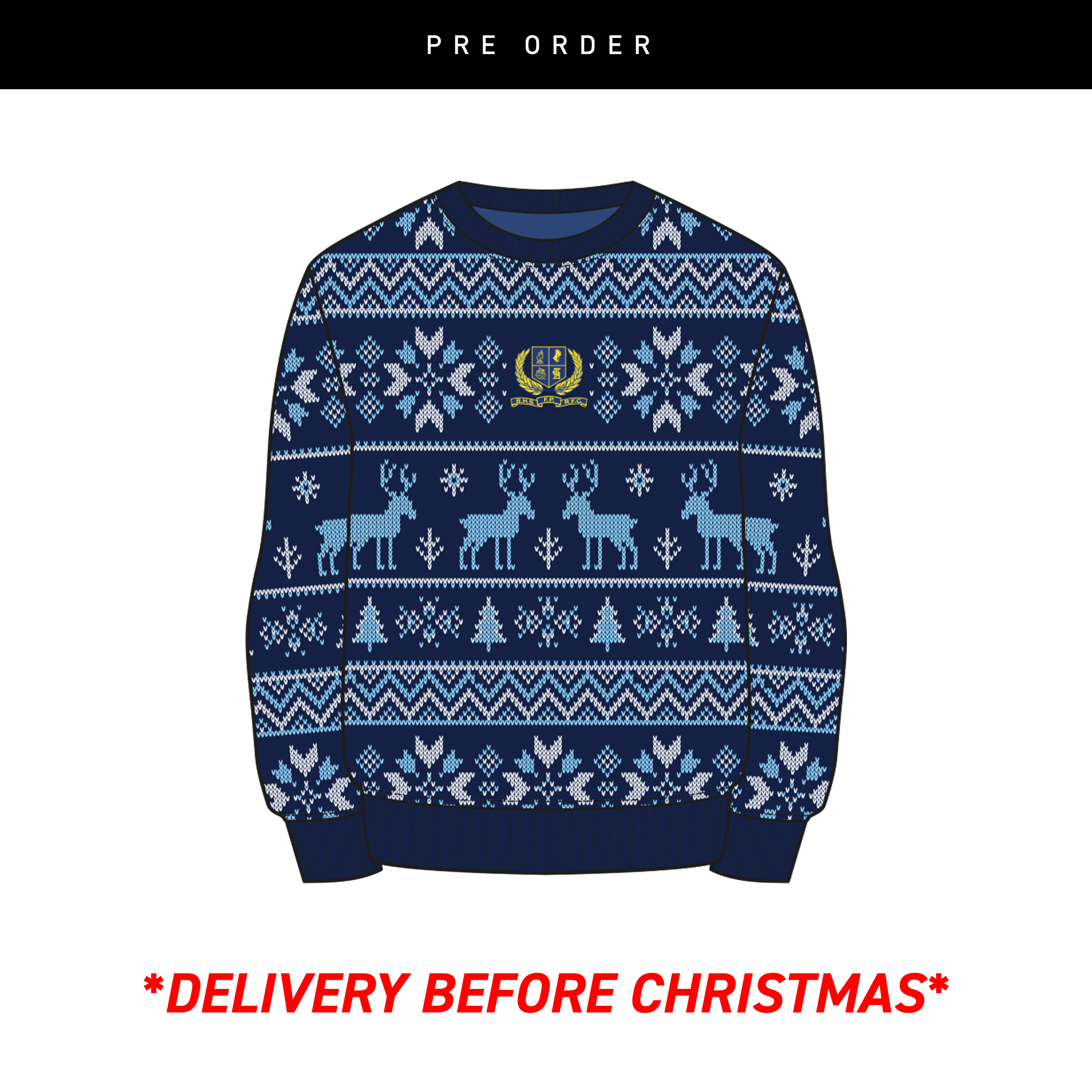 Belfast-HS-for-Pupils-Christmas-Jumper.png