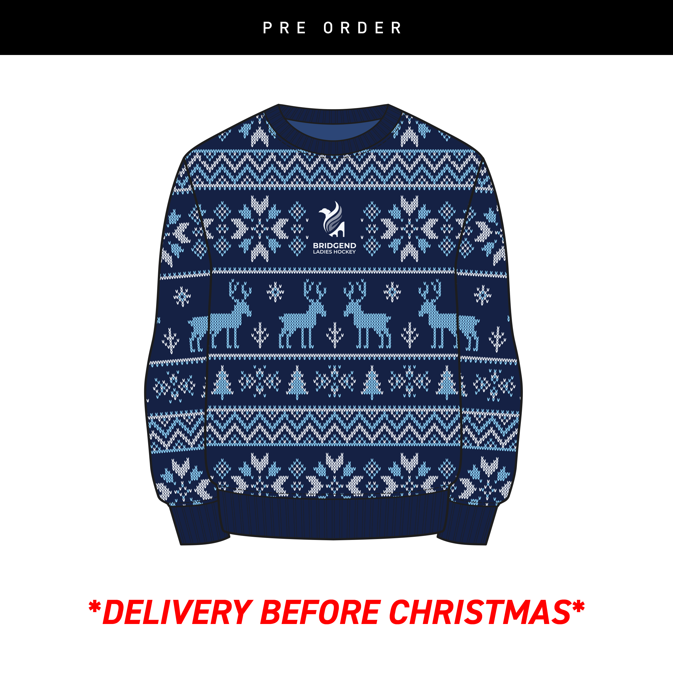 BridgenedHockeyxmasjumper_d4a8488f-51fb-4676-ae0b-e517891adf54.png