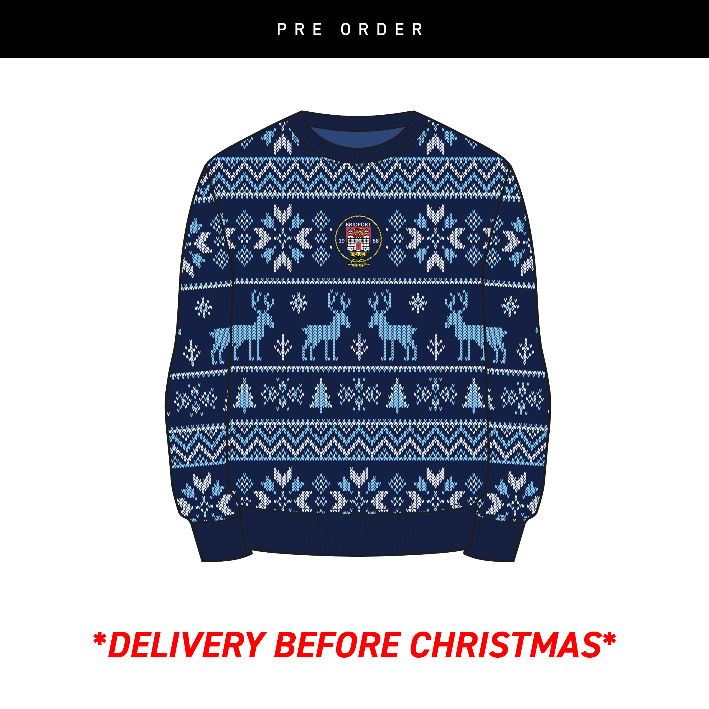 Bridportxmasjumper.png