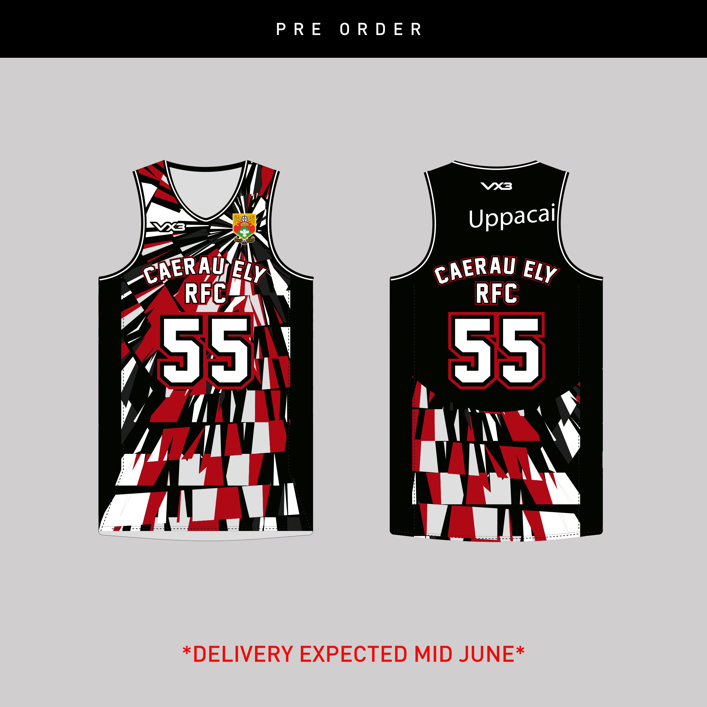 Caerau Ely RFC 2026 Summer Tour Basketball Vest