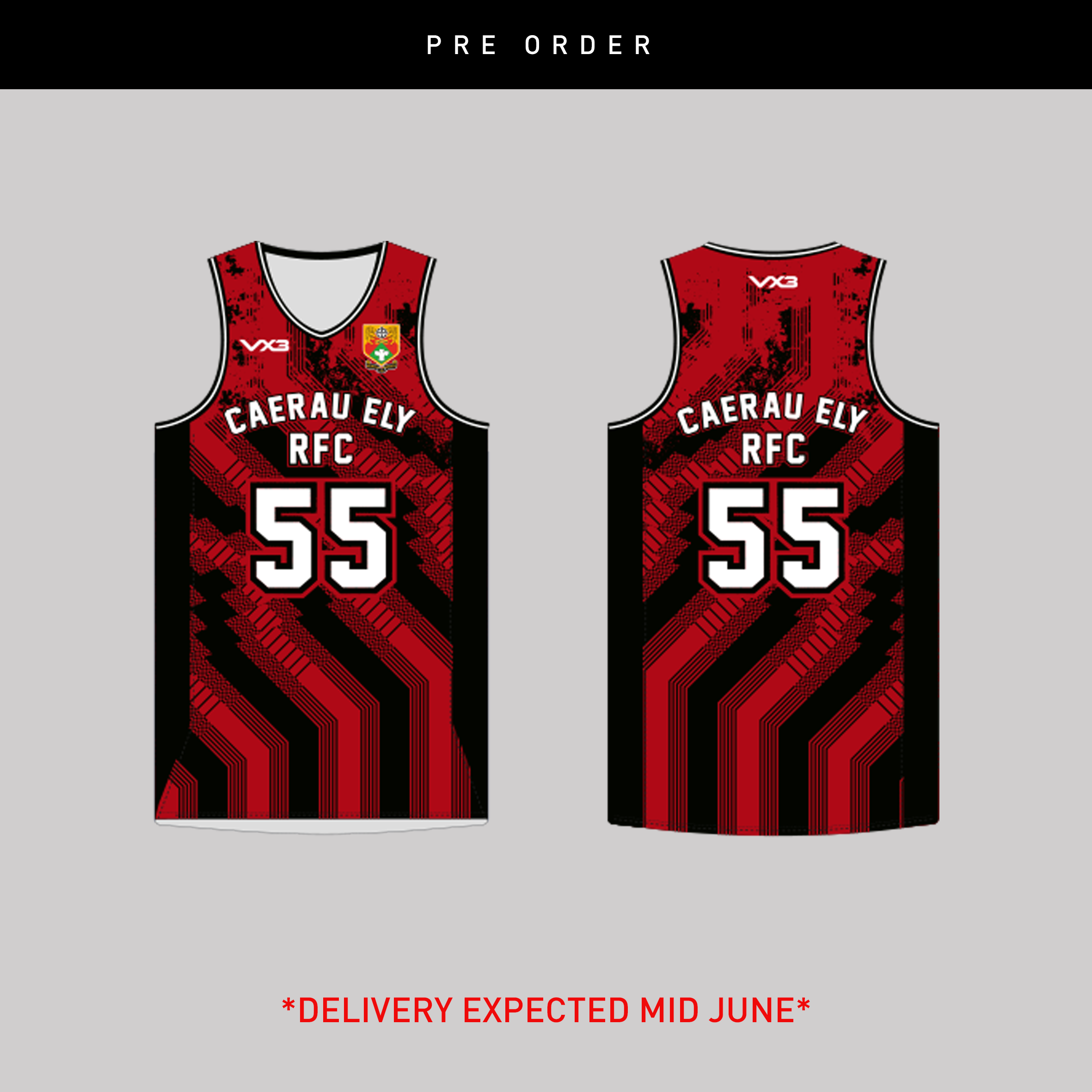 Caerau Ely RFC Sublimated Basketball Vest