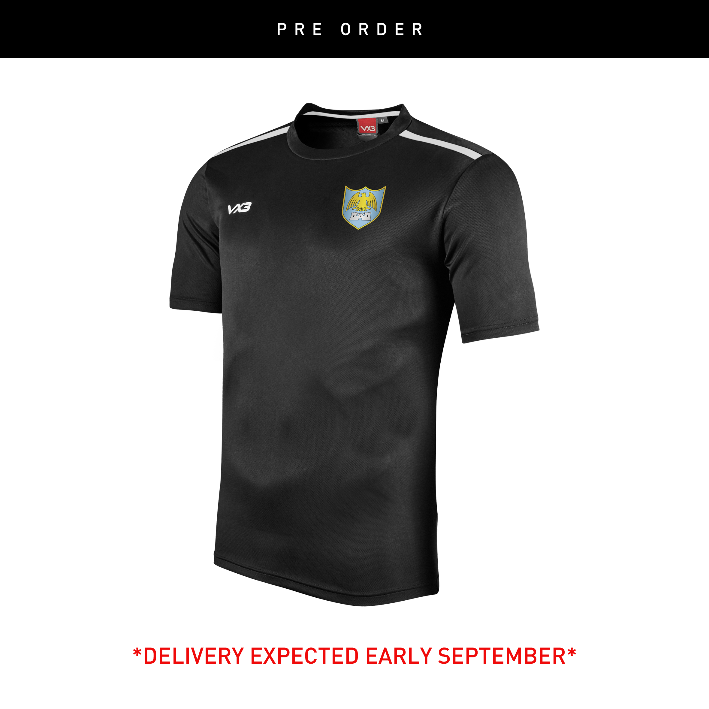 Caerleon Comprehensive Fortis Women's Tee