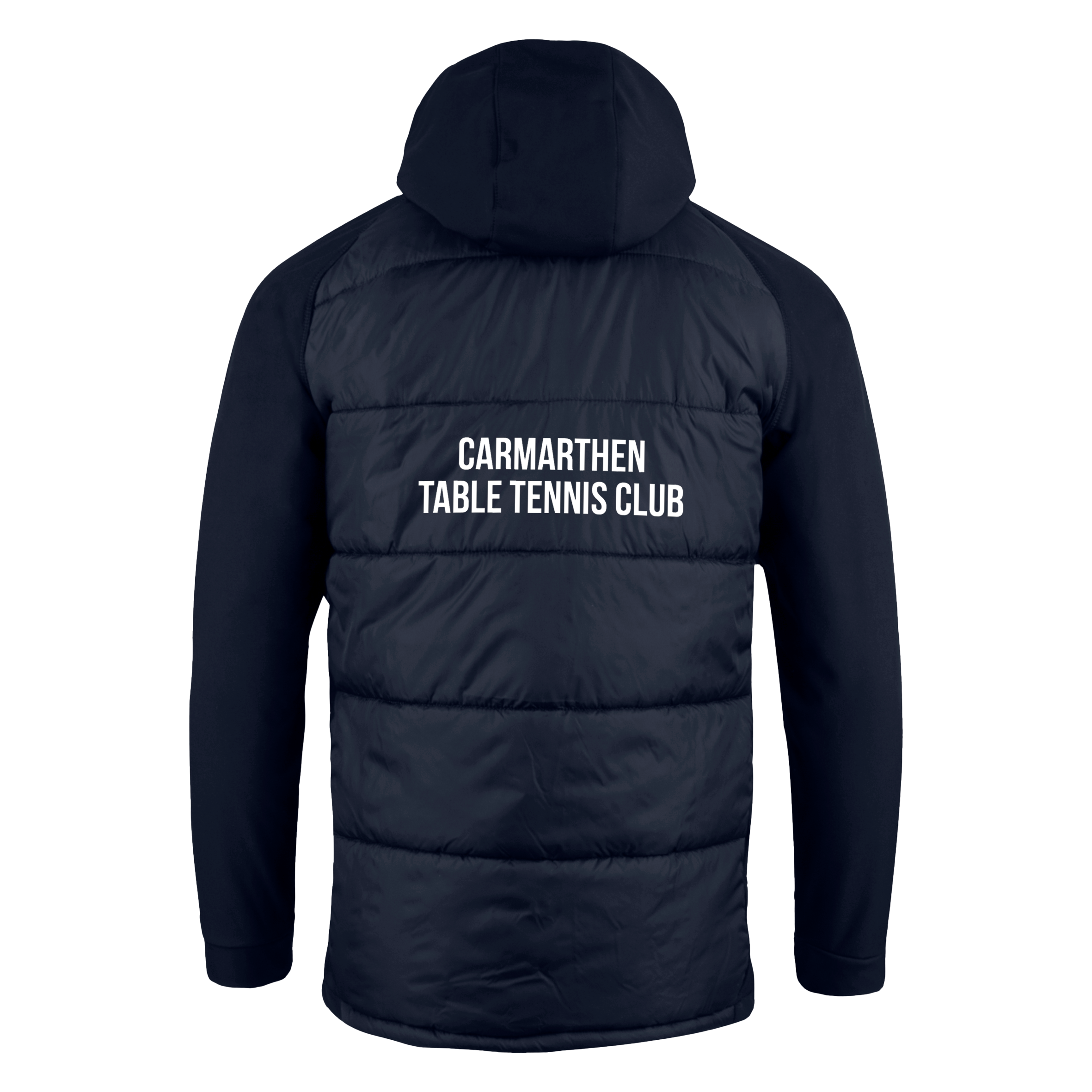 Carmarthen-Table-Tennis-Tempest_2.png