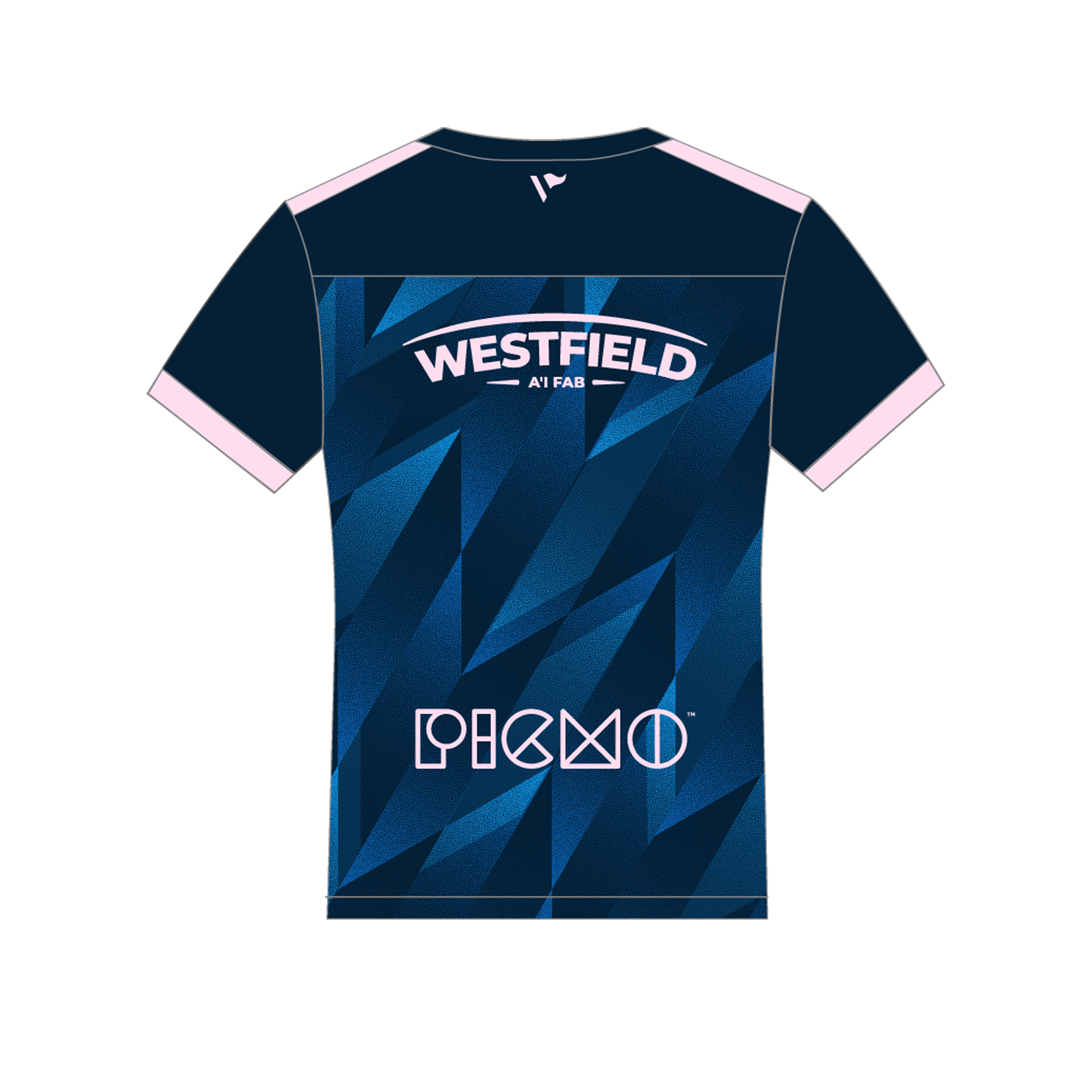 Carmarthen Warriors 2024 Elite Training Tee