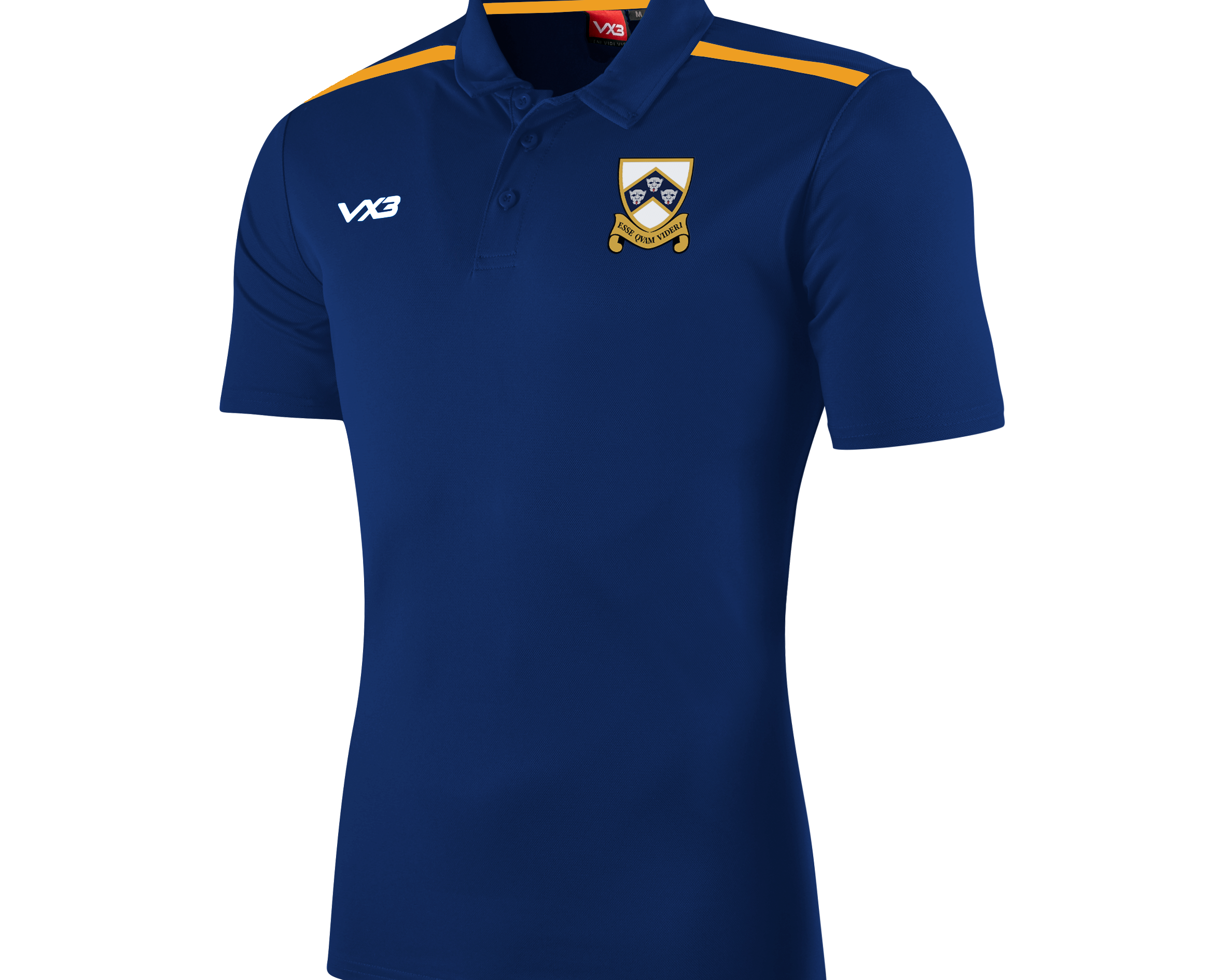 Colyton-Grammar-School-Polo.png
